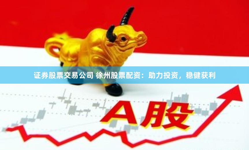 证券股票交易公司 徐州股票配资：助力投资，稳健获利